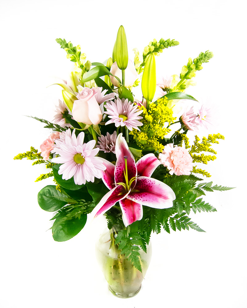 <b>Notice</b>: Undefined index: name in <b>/home/stranges/public_html/shop/vqmod/vqcache/vq2-catalog_view_theme_default_template_product_search.tpl</b> on line <b>386</b>